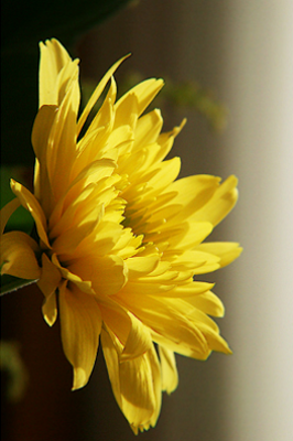 Reinhard Micko Leben